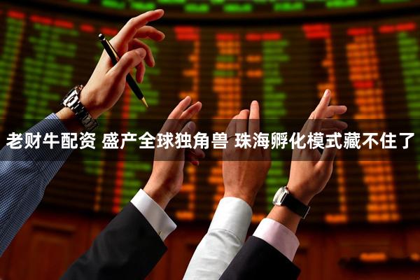 老财牛配资 盛产全球独角兽 珠海孵化模式藏不住了