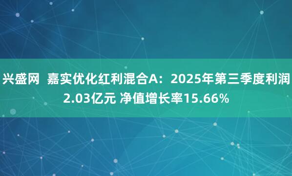 兴盛网 嘉实优化红利混合A:2025年第三季度利润2.03亿元 净值增长率15.66%