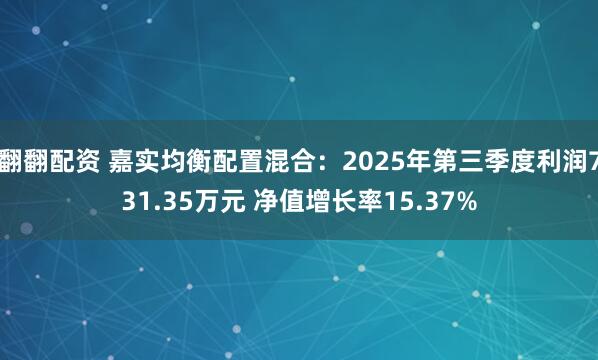 翻翻配资 嘉实均衡配置混合：2025年第三季度利润731.35万元 净值增长率15.37%