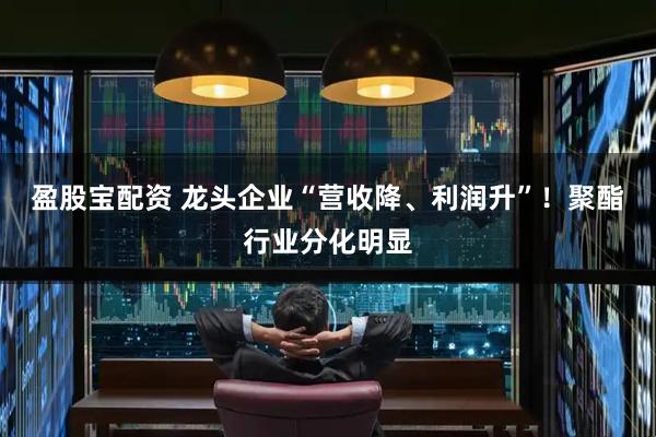 盈股宝配资 龙头企业“营收降、利润升”！聚酯行业分化明显